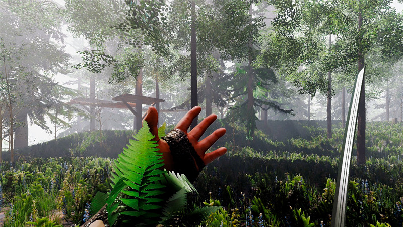 Как запустить the forest на directx 9